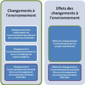 Figure 2. « Effets environnementaux » en vertu de la Loi Canadienne sur l'évaluation environnementale (2012)