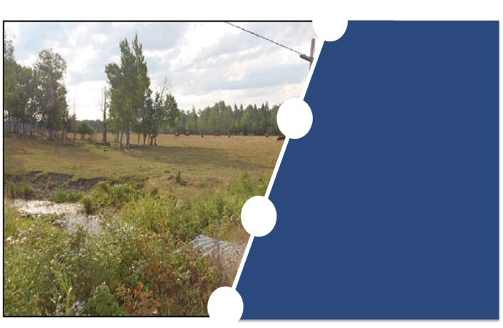 Photo de la rivière Pinewood et des environs décrits à la section 5.1. 