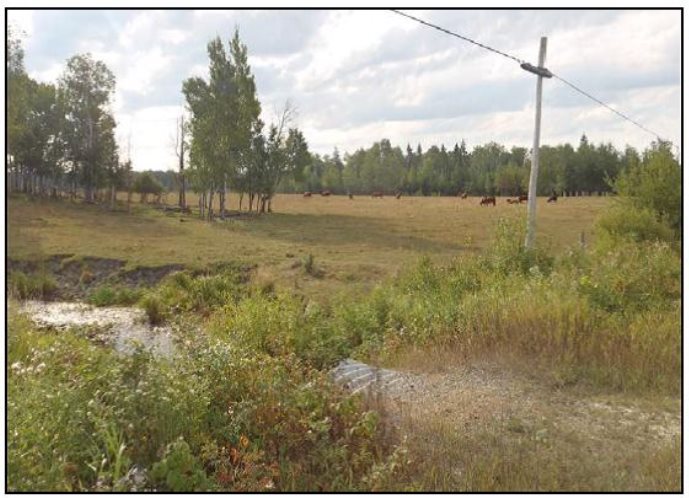 Figure 5-1 : La rivière Pinewood et ses environs, représentatifs des terres touchées par des activités forestières et agricoles où se trouve le site du projet (Source: AMEC, EIE de Rainy River)