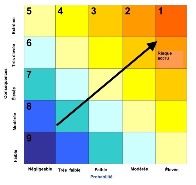 Figure 8-1 : Matrice des risques environnementaux (Source: étude d'impact environnemental du projet Rainy River, AMEC)
