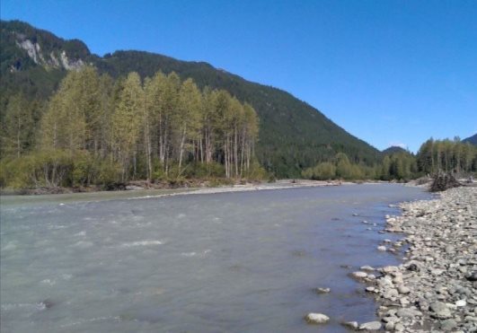 Photograph showing the Unuk River at a location near Border Lake Provincial Park at the Canada ? United States border. The river is approximately 50 metres wide in the photo. The photo was taken looking downstream.
