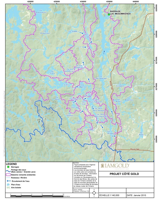 Une carte délimitant les bassins hydrographiques locaux et les directions existantes de l'écoulement de l'eau dans les sous-bassins hydrographiques de la rivière Mollie et du lac Mesomikenda.