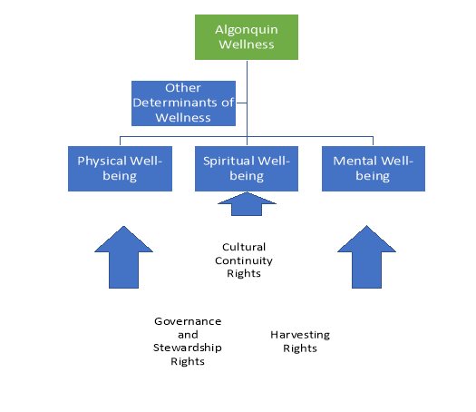 Figure 10: AOPFN Rights Categories and Algonquin Wellness