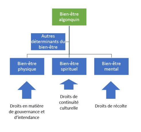 Figure 10 : Catégories de droit d'AOPFN et bien-être algonquin