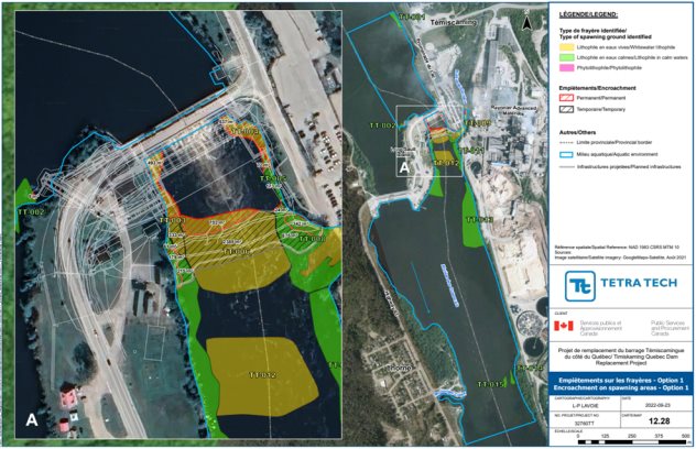 Figure 6: Permanent and Temporary Encroachments in Fish Habitat