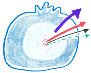 L'image dessinée à la main est un enregistrement graphique capturé lors des réunions du GTER. Elle montre un bleuet avec des flèches, représentant le plan de travail de la phase de réalisation, Maajitao/Majitata.