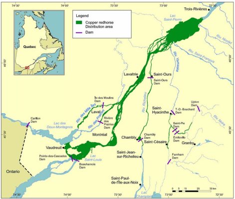 Figure 4: Distribution range of the copper redhorse