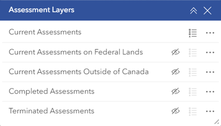 Assessment layers’ group