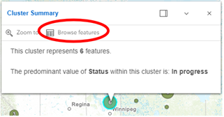Cluster summary window