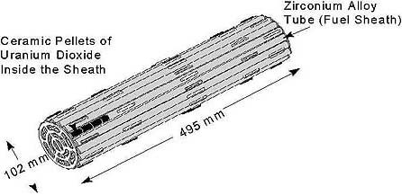 Figure 3: A CANDU Fuel Bundle (Source: AECL)